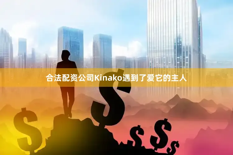 合法配资公司Kinako遇到了爱它的主人