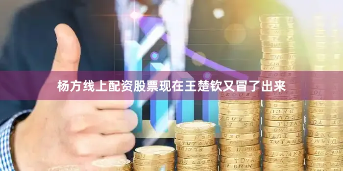 杨方线上配资股票现在王楚钦又冒了出来