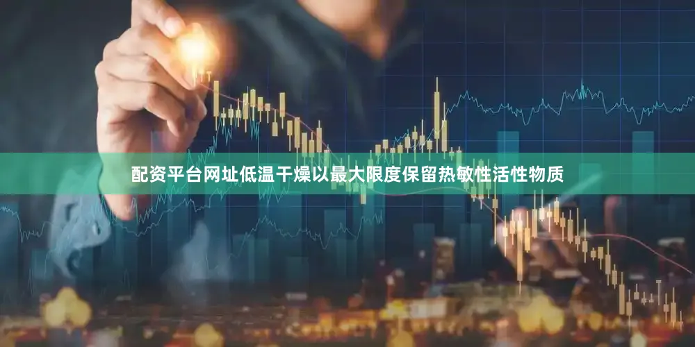 配资平台网址低温干燥以最大限度保留热敏性活性物质